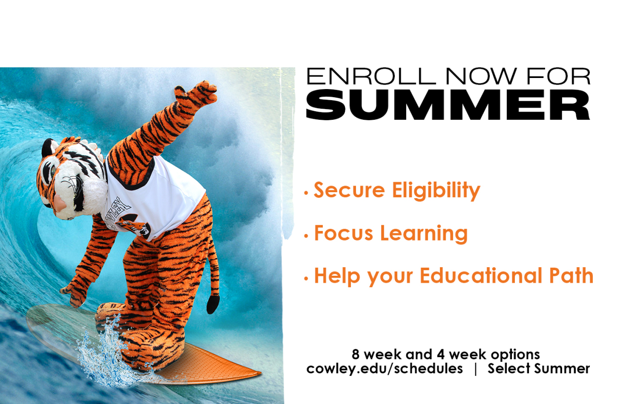 Tiger on Surf board in water Summer classes 8 and 4 week options
